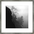 Rock And Tree Framed Print