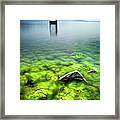 Rock With Algae And Diviing Board In Framed Print