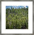Rocky Mountain Trailride Framed Print