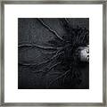 Roots Framed Print