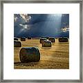 Round Bales Framed Print