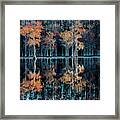 Row Of Cypress Framed Print