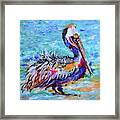 Ruffled Pelican Framed Print