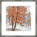 Rust Leaves And Snow Framed Print