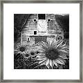 Rustic In Black And White Framed Print