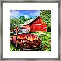 Rusty Reds In Poppies Framed Print