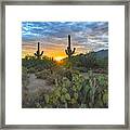 Sabino Canyon And Mount Kimball Sunset, Tucson, Az Framed Print