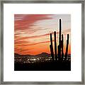 Saguaro Cactus Silhouette At Dusk Framed Print