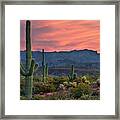 Saguaro Cactus With Arizona Sunset Framed Print