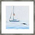 Sailboat And Gulls Framed Print