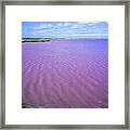 Saline Pink Lake Of Coorong, South Framed Print