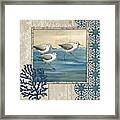 Sandpiper Shore I Framed Print