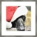 Santa Baby Framed Print