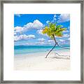 Scenic Tropical Beach As Summer Framed Print