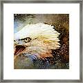 Screaming Eagle Framed Print