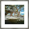 Sea Ranch Coastline Framed Print