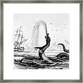 Sea Serpent Framed Print