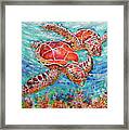 Sea Turtles On Coral Reef Framed Print