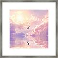 Seagull And Violet Clouds Framed Print