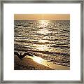 Seagull Beach Sunrise Framed Print
