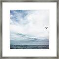 Seagull Flying Over Lake Michigan Framed Print