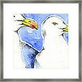 Seagull Friends Framed Print