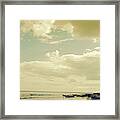 Seals On The Beach Framed Print