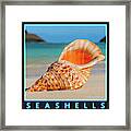 Seashells Gallery Button Framed Print