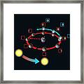 Seasonal Variation In The Phases Of The Moon Framed Print