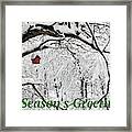 Season's Greetings Framed Print