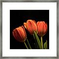 Second Thoughts 1122 Framed Print
