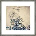 Sepia Rose Framed Print