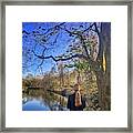 Serene Framed Print