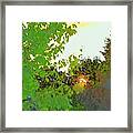 Setting Sun And Maple Color Sketch Framed Print