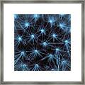 Shades Of Blue Framed Print