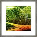 Shades Of Green Glass Framed Print