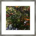 Shady River Reflections Framed Print