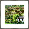 Shed In Autumn Vineyard Framed Print