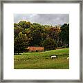 Sheep May Safely Graze -   Sheep Pasture In Autumn South Of Stoughton Wi Framed Print