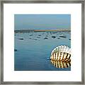 Shell On Beach Framed Print
