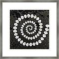 Shell Spiral On Rock Framed Print