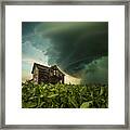 Shelter From The Storm Framed Print
