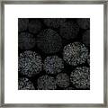 Shibori Sea Urchin Burst Pattern Framed Print