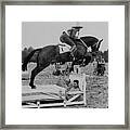 Show Jumping Over A Bed At Colchester Framed Print