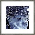 Silhouette Of Winter Magic Framed Print