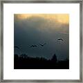 Silhouetted Geese Fly Above The Bitterroot River, Mt At Sunrise. Framed Print