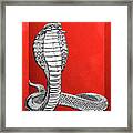 Silver King Cobra On Red Canvas Framed Print