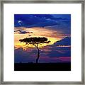 Single Tree On Savannah At Sunset Framed Print