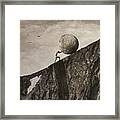 Sisyphus Framed Print