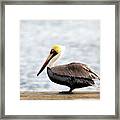 Sitting On The Dock Of The Bay Framed Print
